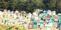 Guatemalan Graveyard